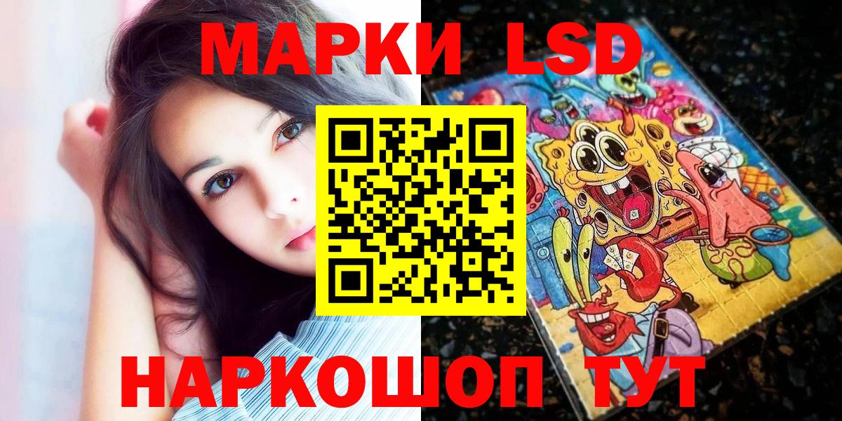Кировск  где можно купить наркотик  Наркотические марки 1,5мг  Вход с VPN  Наркотические марки 1,5мг  Наркотические марки 