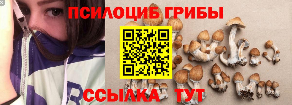 Галлюциногенные грибы Magic Shrooms  Вход с VPN  Псилоцибиновые грибы мицелий  Кировск 