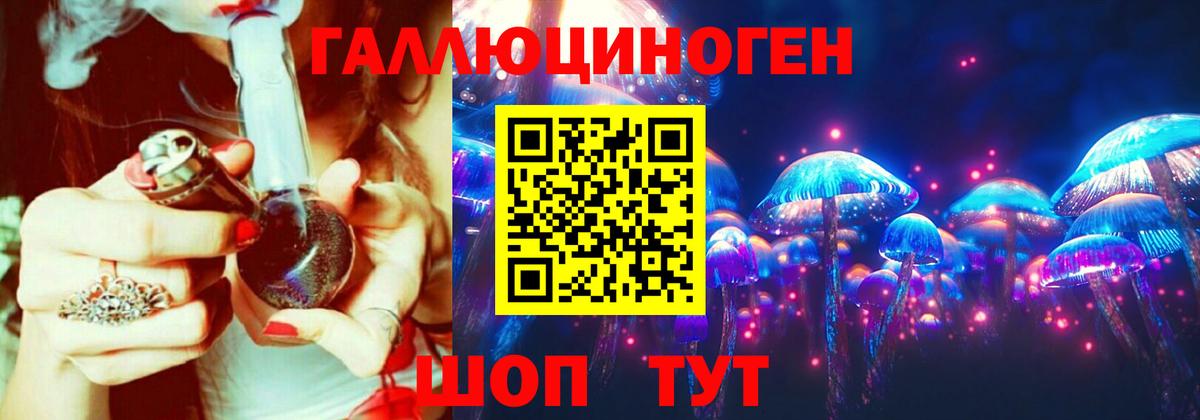 Псилоцибиновые грибы Psilocybine cubensis Кировск