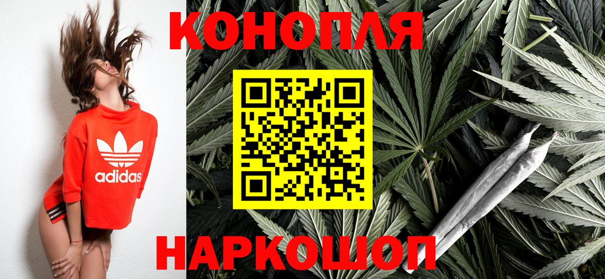 Шишки марихуана гибрид Кировск